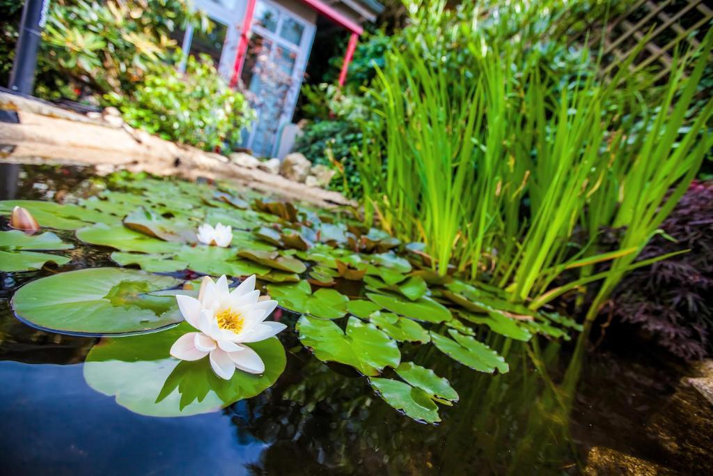 Boutique-Hotel Villa Anna Айзенах Екстер'єр фото